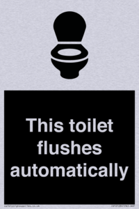 This toilet flushes automatically